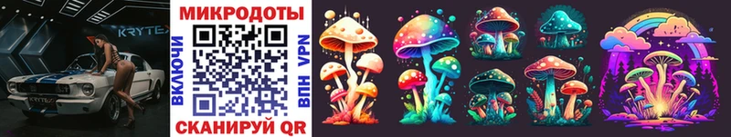 Псилоцибиновые грибы Cubensis где можно купить наркотик Махачкала